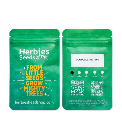 Purple Juice Auto fem (Herbies Seeds) Purple Juice Auto fem (Herbies Seeds) — изображение 3
