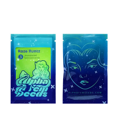Сорт Roze Runtz fem (AlphaFem Seeds) Сорт Roze Runtz fem (AlphaFem Seeds) — изображение 2