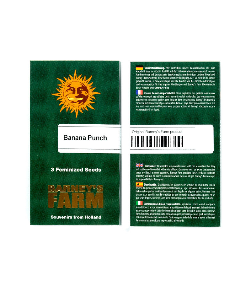 Сорт Banana Punch fem (Barney's Farm) Сорт Banana Punch fem (Barney's Farm) — изображение 2