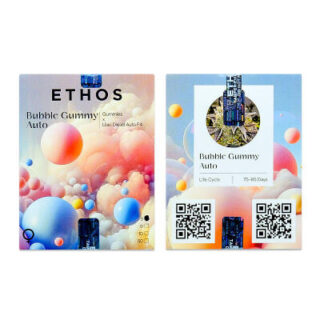 Сорт Bubble Gummy Auto fem (Ethos Genetics) Сорт Bubble Gummy Auto fem (Ethos Genetics)
